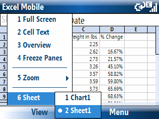 Windows Mobile 6 Excel Mobile on Smartphone