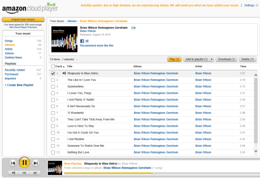 Amazon Cloud Player in Windows RT IE10